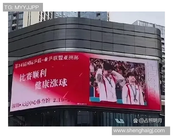 深圳排球队的崛起之路:从默默无闻到世界舞台的荣耀历程