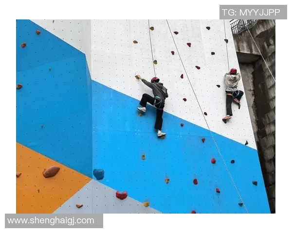 武汉飞盘队在攀岩联赛中的心理素质分析与表现评估