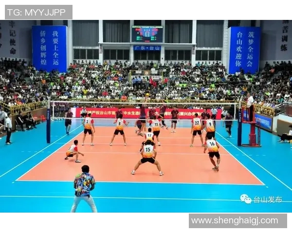 武汉排球队的阵地战分析与战术探讨助力排球热点发展