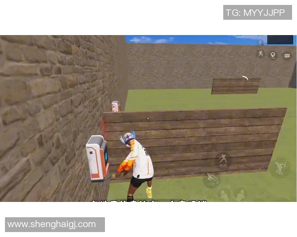 专访和平精英制作人吴静探讨游戏成功背后的秘密与未来发展方向