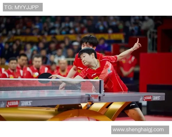 南京乒乓球队与上海乒乓球队的精彩对决节奏分析与赛后总结