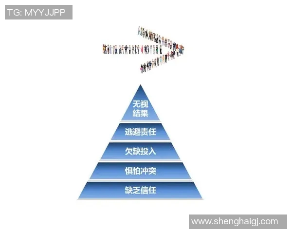 城市赛分析：RNG战术运用与团队协作的深度剖析