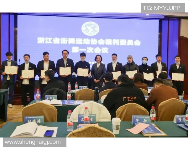 杭州街舞队状态全景解析与对比分析探讨