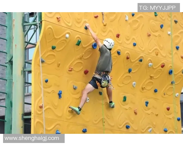 杭州攀岩队心理素质创新高助力攀岩水平全面提升