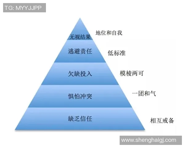从零起步:全面解析攀岩团队协作的技巧与策略