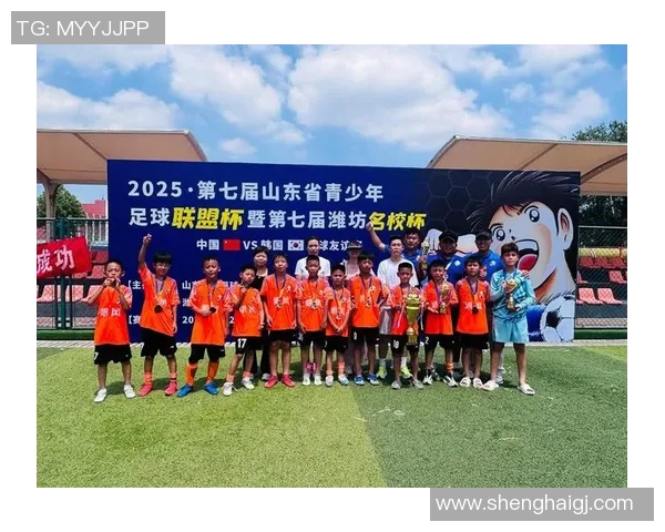 足球明星崛起之路：从青训场到国际赛场的拼搏与荣耀