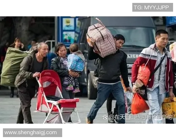 专访张秀英：探寻排球背后的成功秘诀与奋斗故事